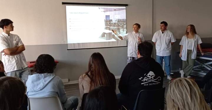 Formation masseur-thérapeute Montpellier