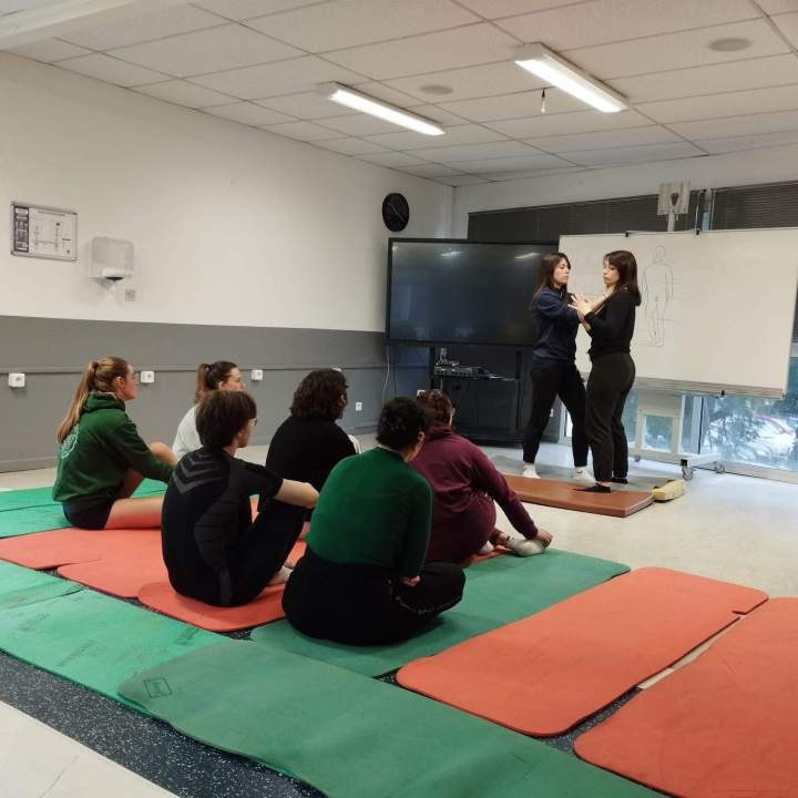 Formation kinésithérapie Montpellier