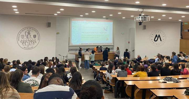 Enseignement théorique et pratique en rééducation fonctionnelle Montpellier